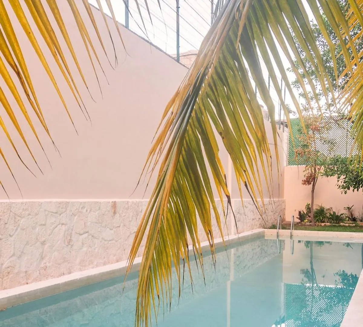 Appartamento Beautiful Loft Near The Beach Playa del Carmen Messico